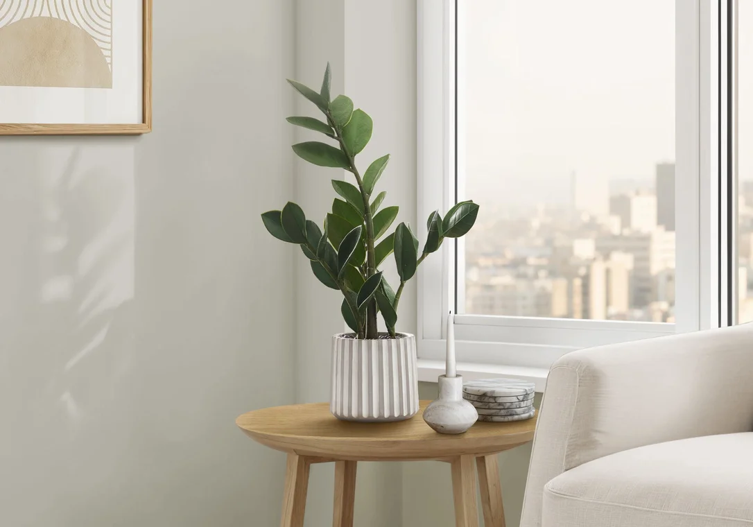 dreameehome12350349
