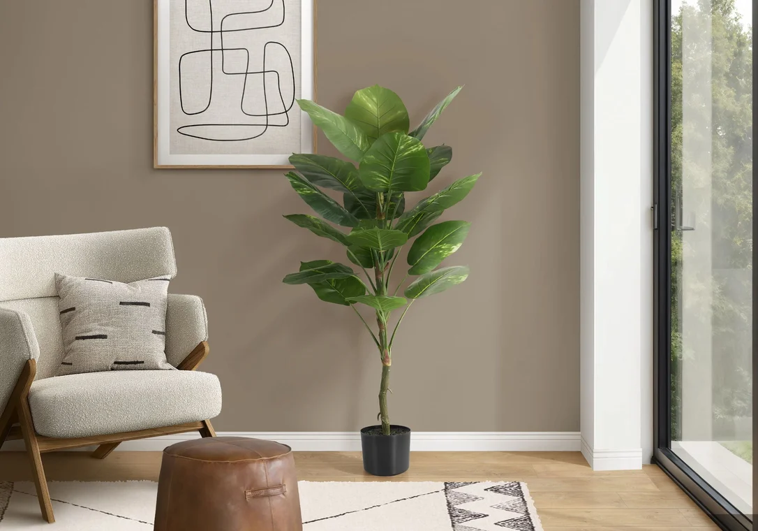 dreameehome12351848