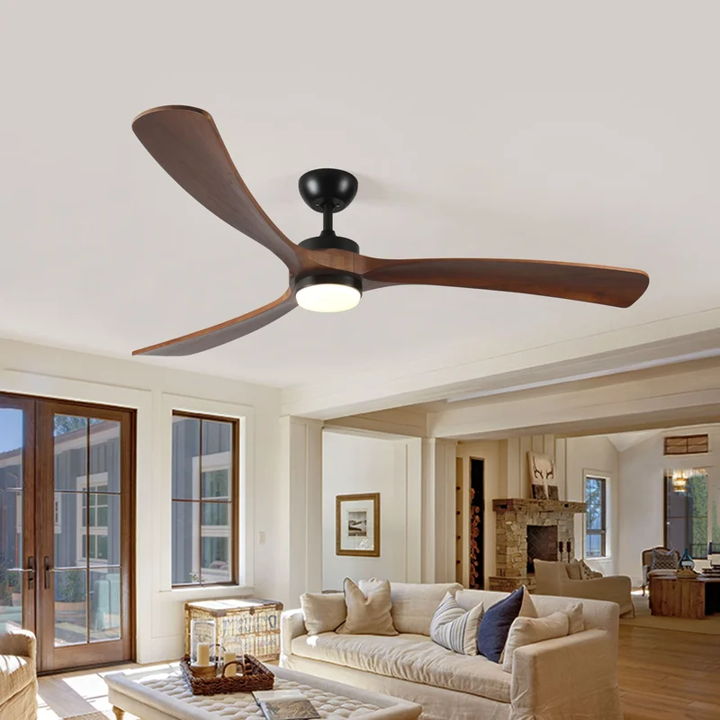 dreameehome12365565