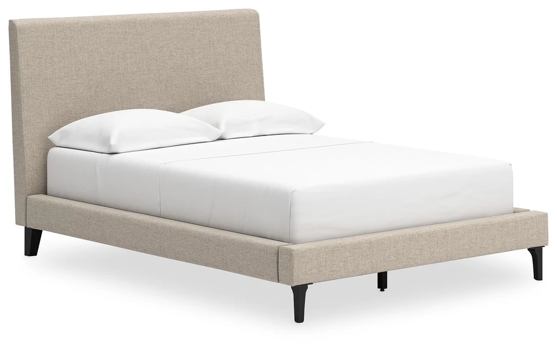 dreameehome2160325