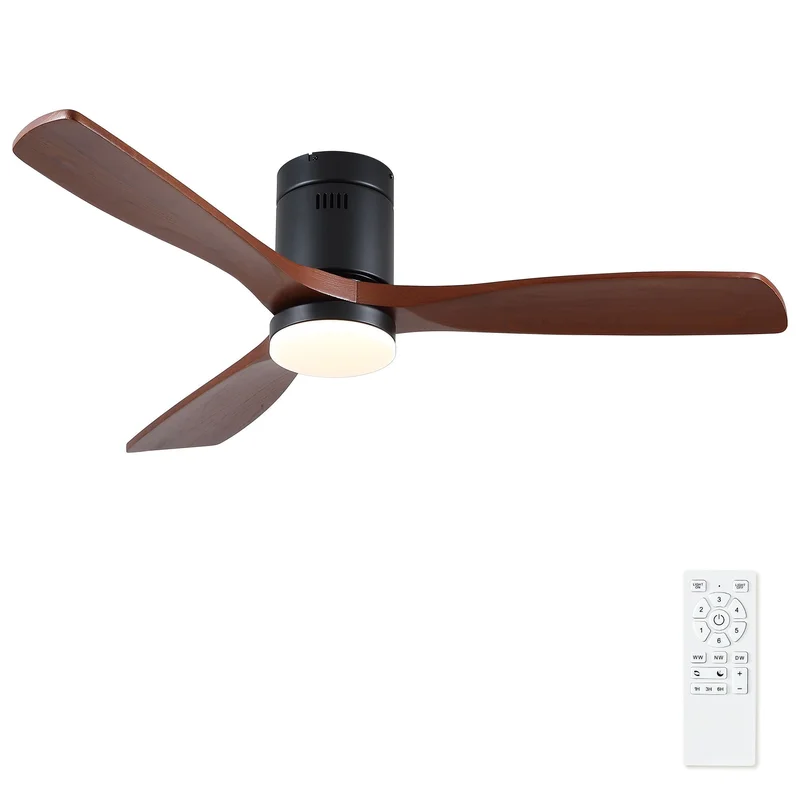 dreameehome2277475