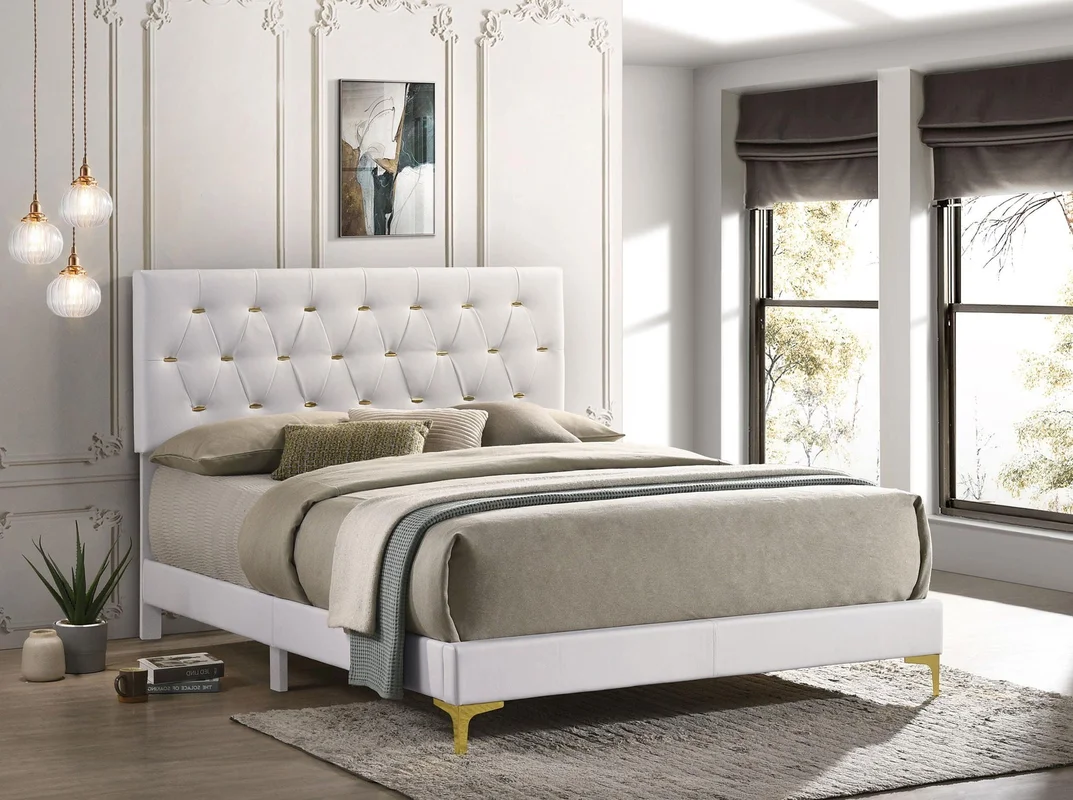 dreameehome3203929