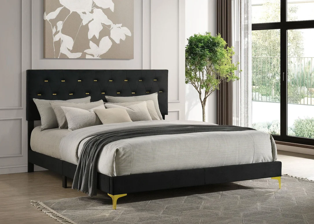 dreameehome3205206