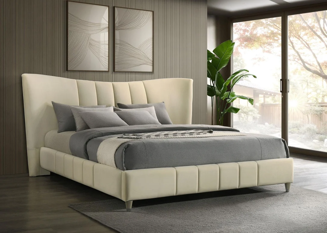 dreameehome3239324