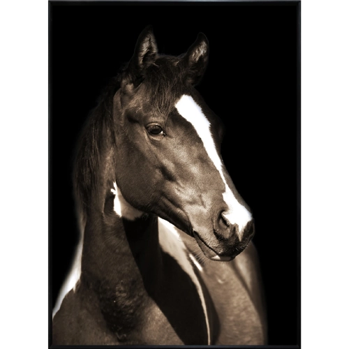 dynamichomedecor-126622