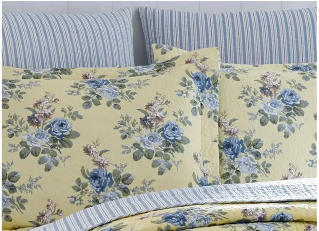 furniture1-64361