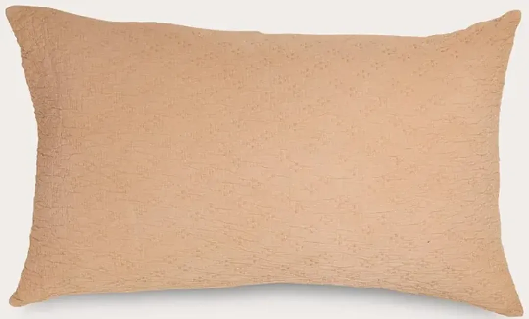 furniture2-317160