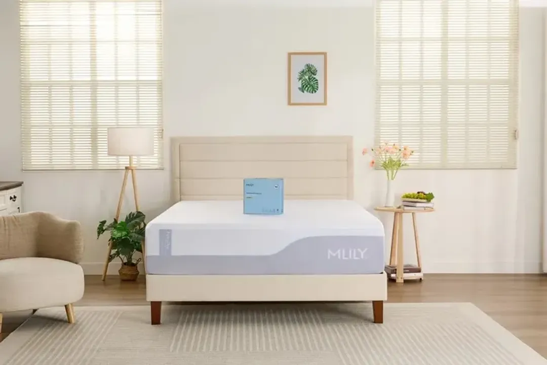furniture3-310994