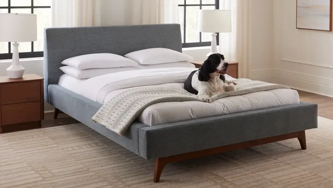 furniture4-489829