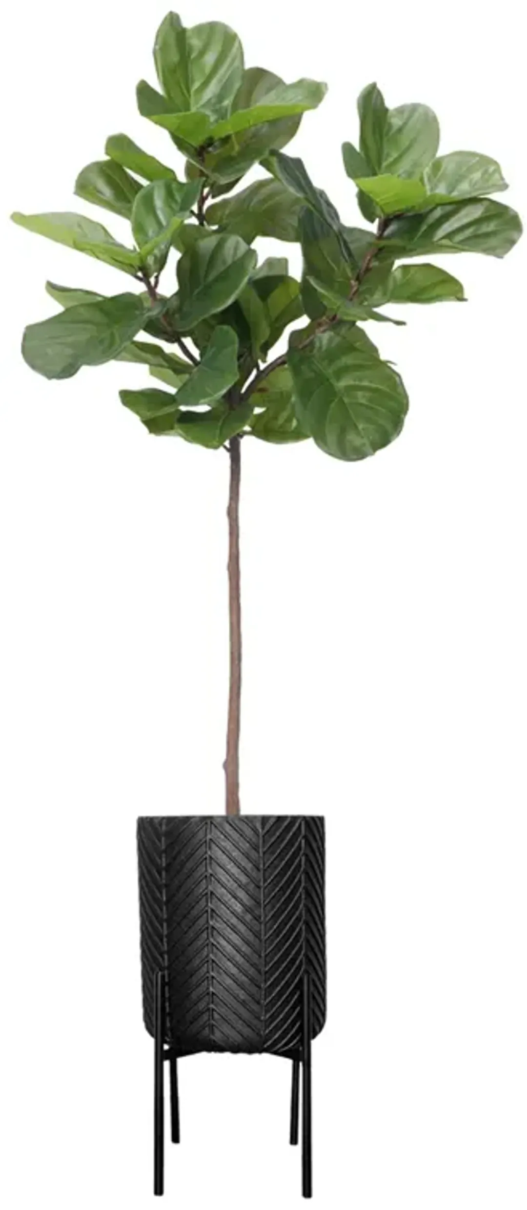furniture4-522998