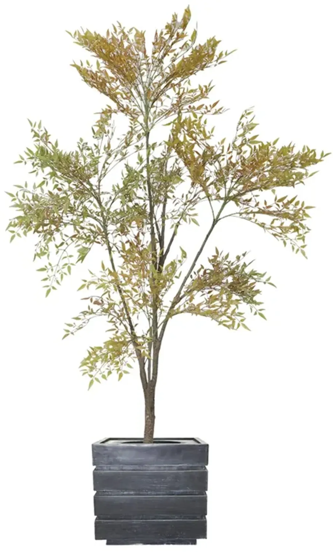 furniture4-524017