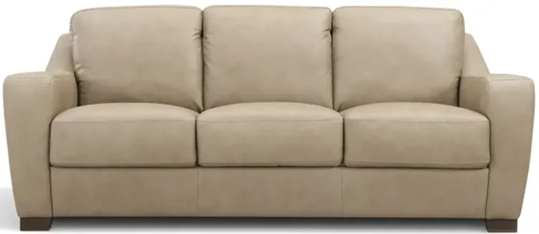 furniture5-491928