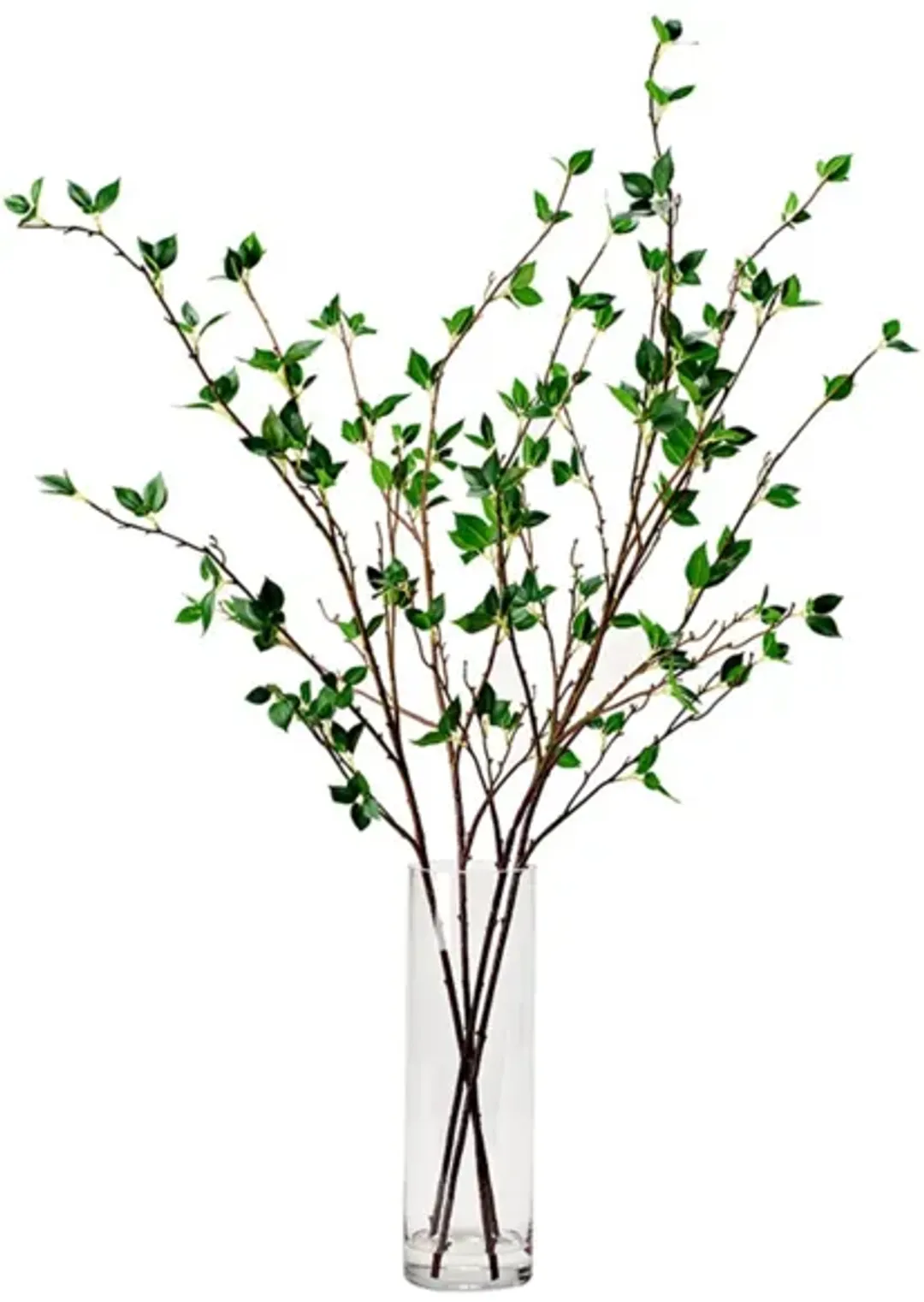 furniture5-495061