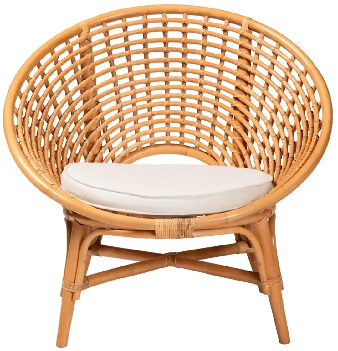 furniture6-492518