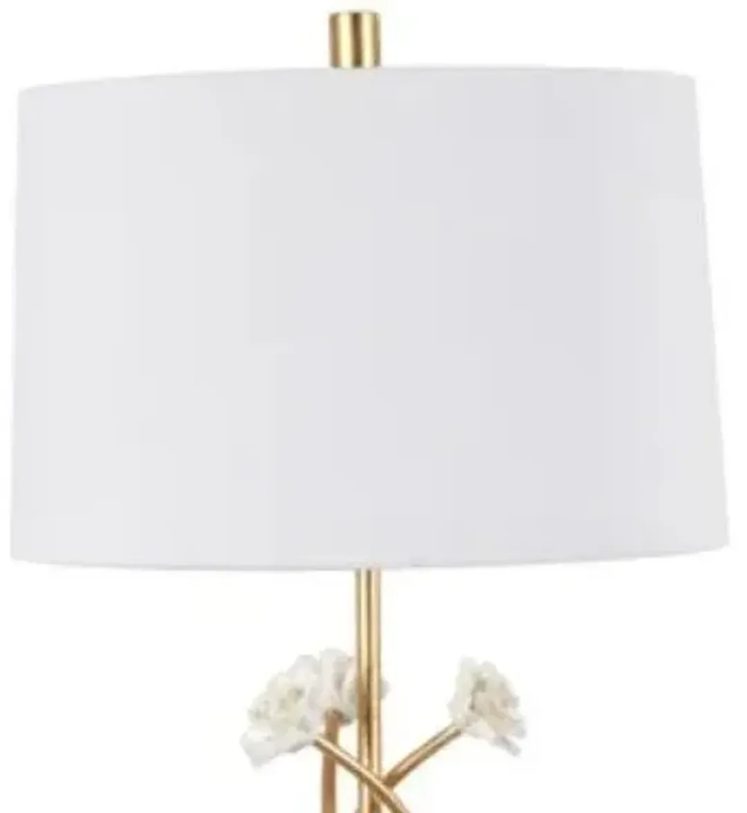 furniture6-525769