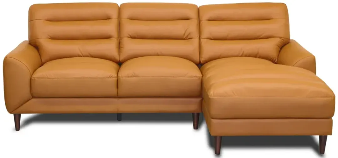 furniture6-551989