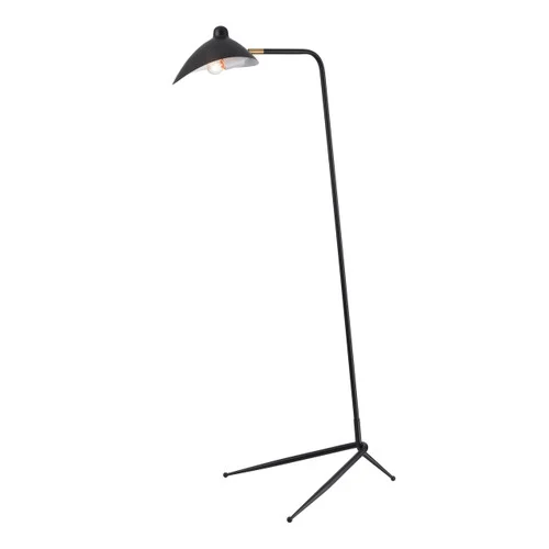 studiolx11-410872