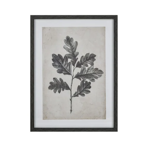 studiolx11-432705