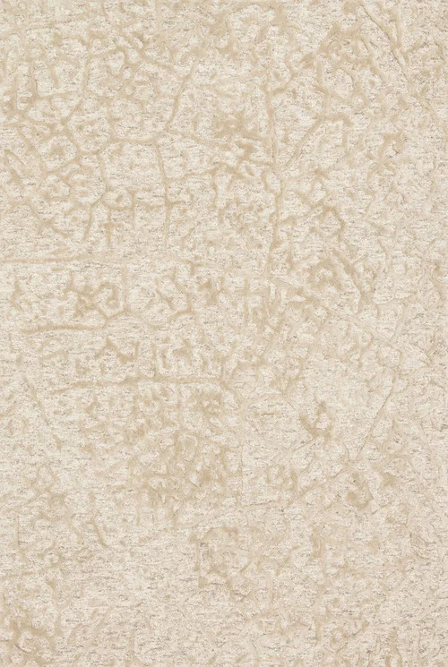 studiolx5-135623