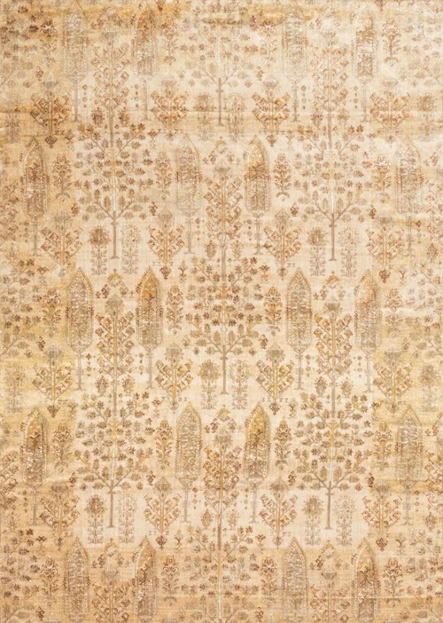 studiolx5-47502