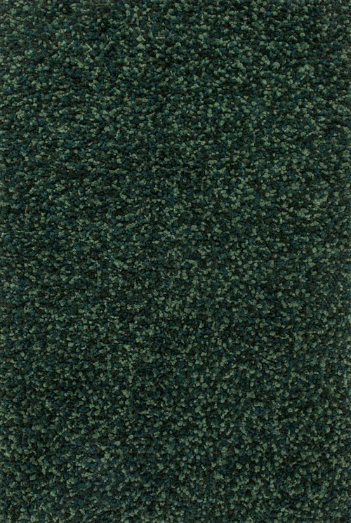 studiolx5-50628