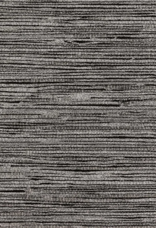 studiolx5-52901