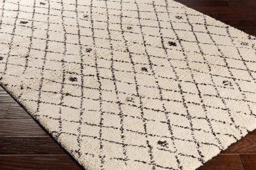 studiolx7-460251