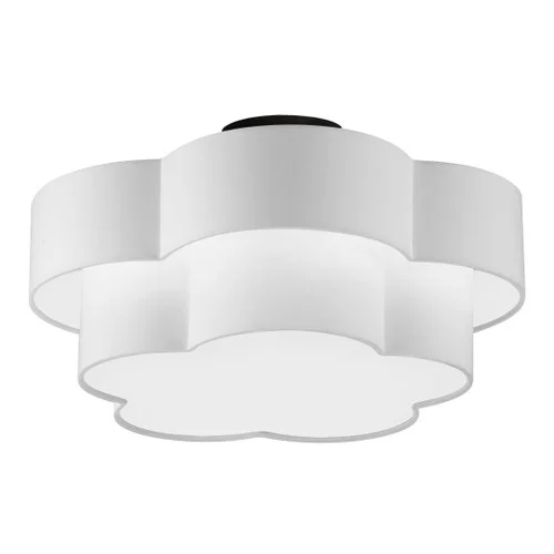 studiolx8-407923