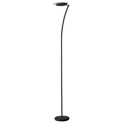 studiolx8-424090