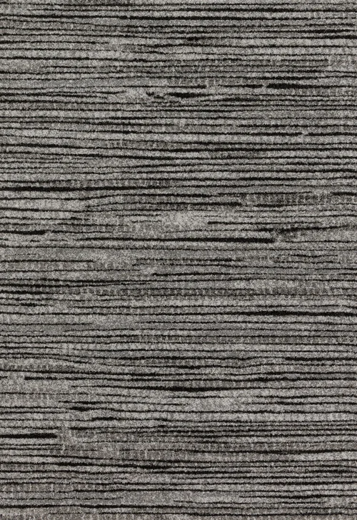 studiolx8-425202