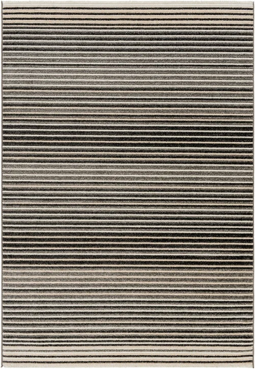studiolx9-392167